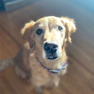 Meet your Posher, Kami